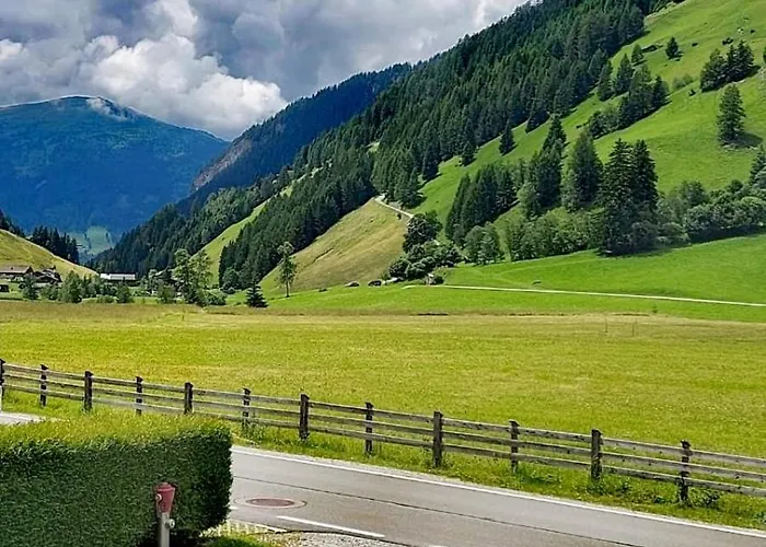 Mycozykoma * Schmirn