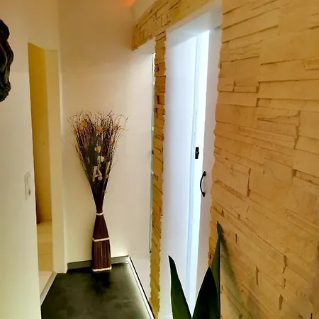 Mycozykoma * Schmirn