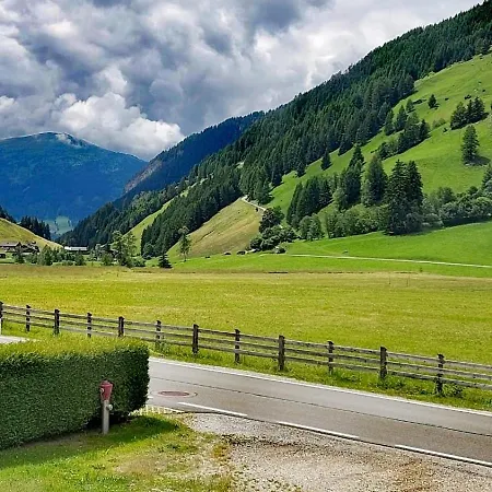 Mycozykoma * Schmirn