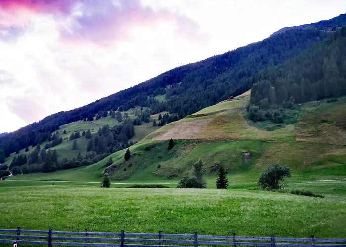 Mycozykoma * Schmirn