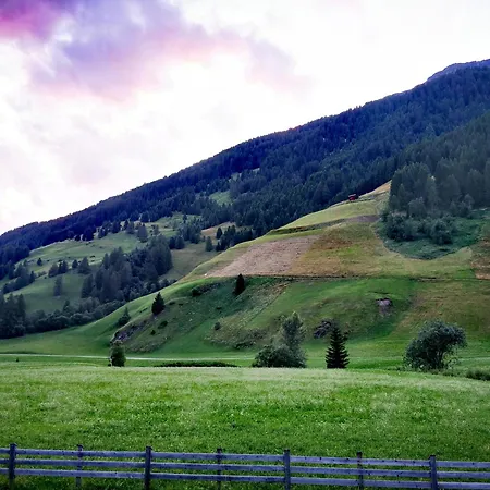 Mycozykoma * Schmirn