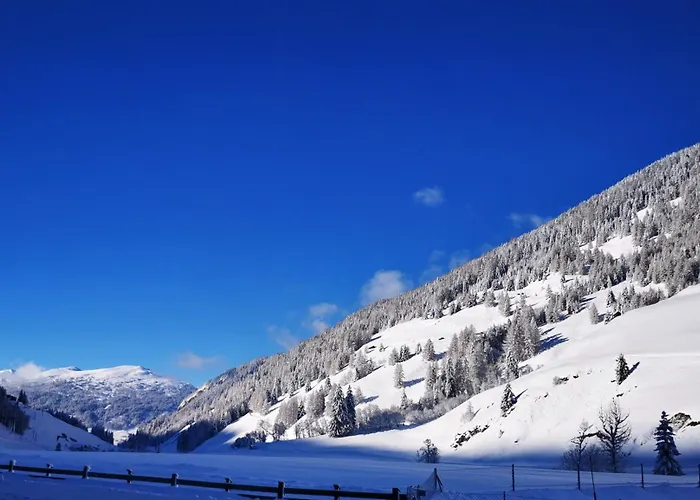 Mycozykoma 아파트