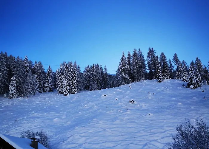 Mycozykoma 아파트